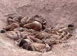 مقابر جماعية للمئات من ضحايا مجازر تنظيم الدولة بسوريا
