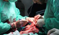 واقع المستشفيات الميدانية في الغوطة  لشرقية 