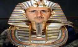 رحلة الجنون بين الأسد وفرعون