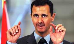 الأسد اختار 